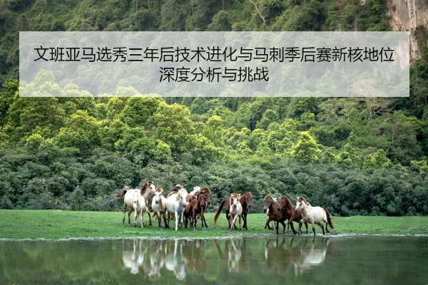 文班亚马选秀三年后技术进化与马刺季后赛新核地位深度分析与挑战